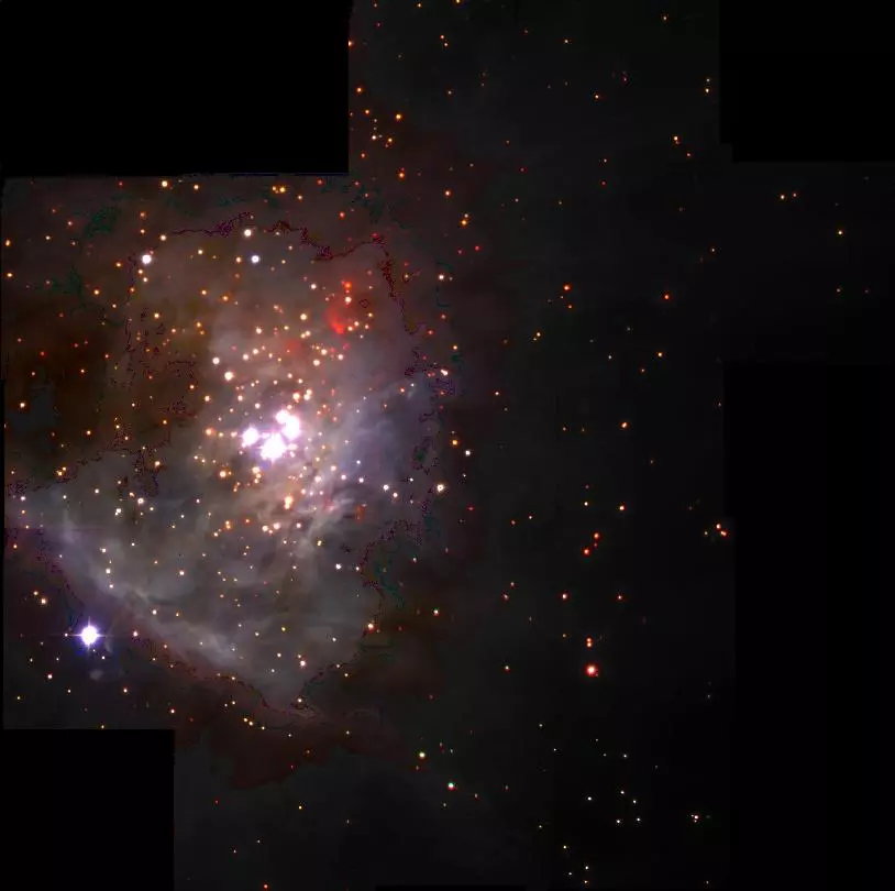 The Orion Nebula Cluster (Image: Philip Lucas, Patrick Roche)
