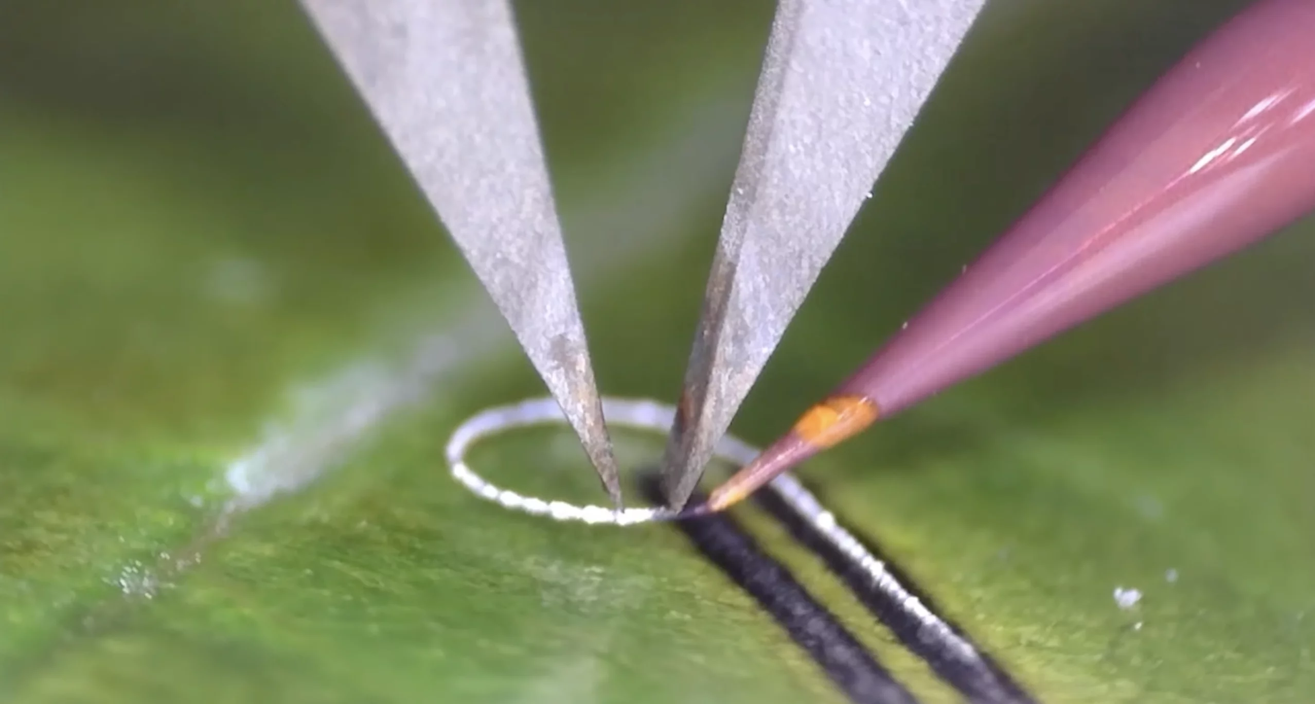 The Meta-NFS device concentrates microwave energy into a zone smaller than 200 micrometers, about the width of a human hair, enabling electronics to be printed onto bone, tissue, and living plants