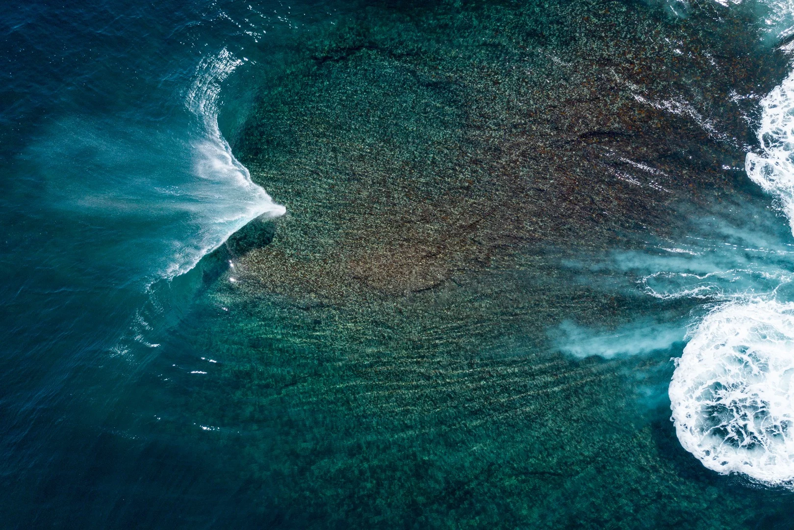 From the 2018 shortlist of finalists