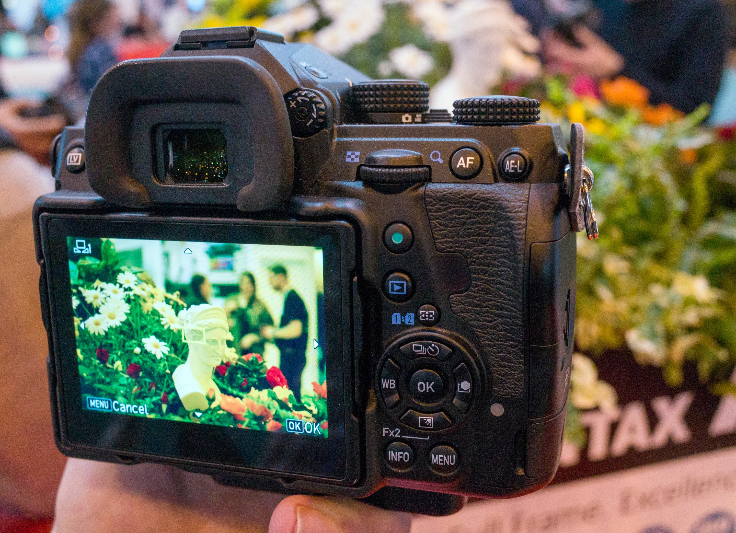 You don't need a big DSLR to take great quality images any more