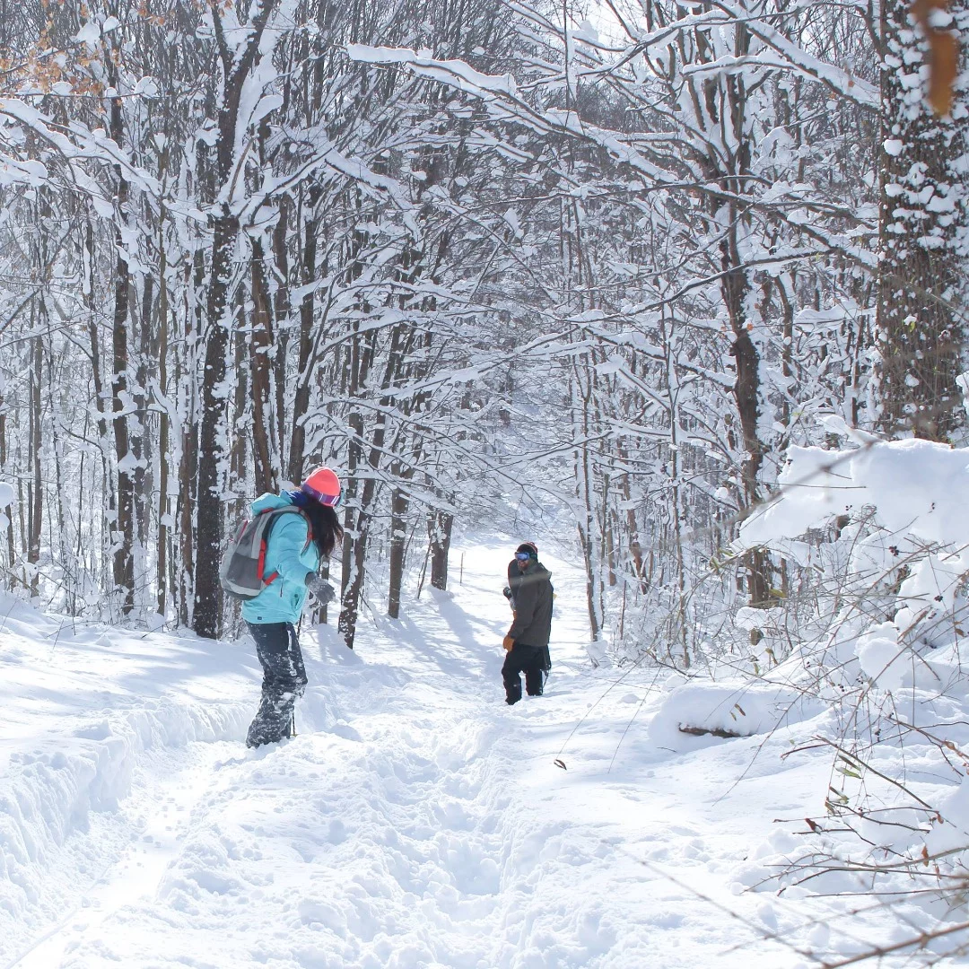 The Mundo Trailboard in action