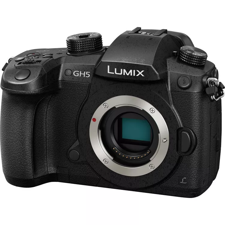 Panasonic GH5: Micro 4/3rds sensor