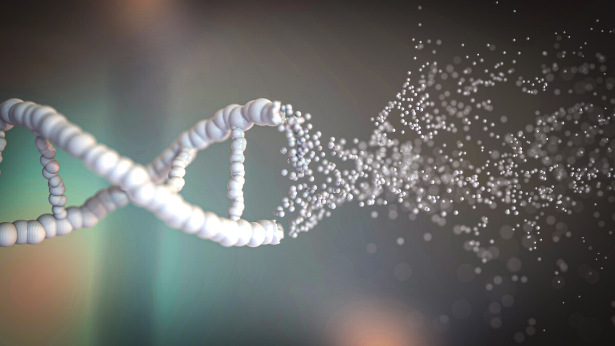 Watch: Glowing tool seeks out DNA damage in real time