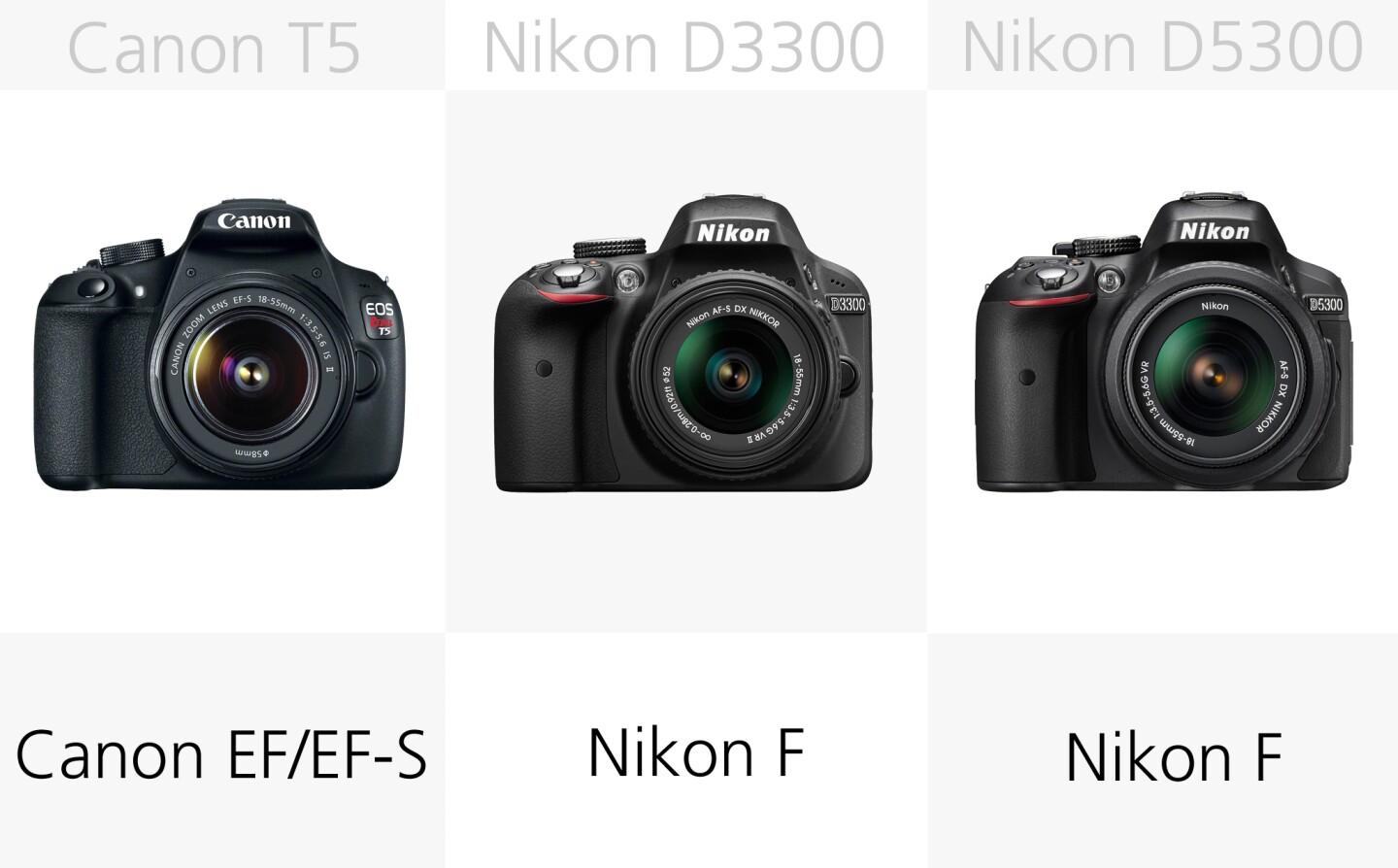 Each of these cameras features the lens mount you would expect from its manufacturer