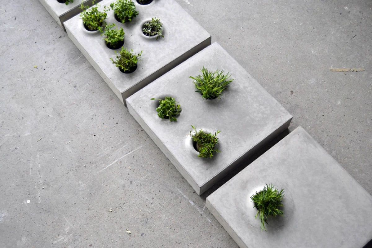 Grey to Green features several different designs which change the amount of vegetation allowed back into our cities