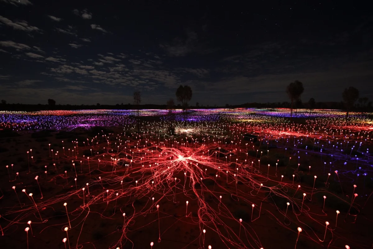 Field of Light comprises 50,000 frosted glass spheres on stems