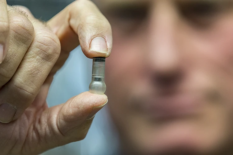 To administer the MucoJet, a patient simply squeezes the bulb at the end, which creates a chemical mixture that drives a piston forward and sprays the vaccine out the other end