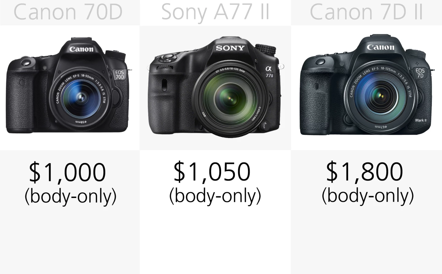 Enthusiast DSLRs tend to be available body-only, though that's not to say you can't find them bundled with a lens