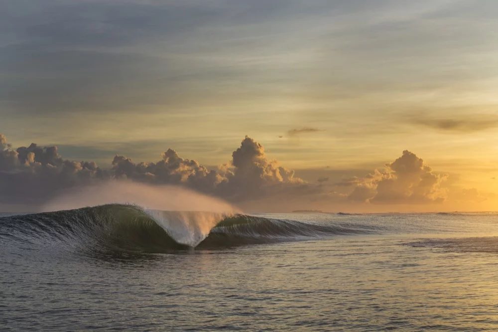 From the 2017 shortlist of finalists