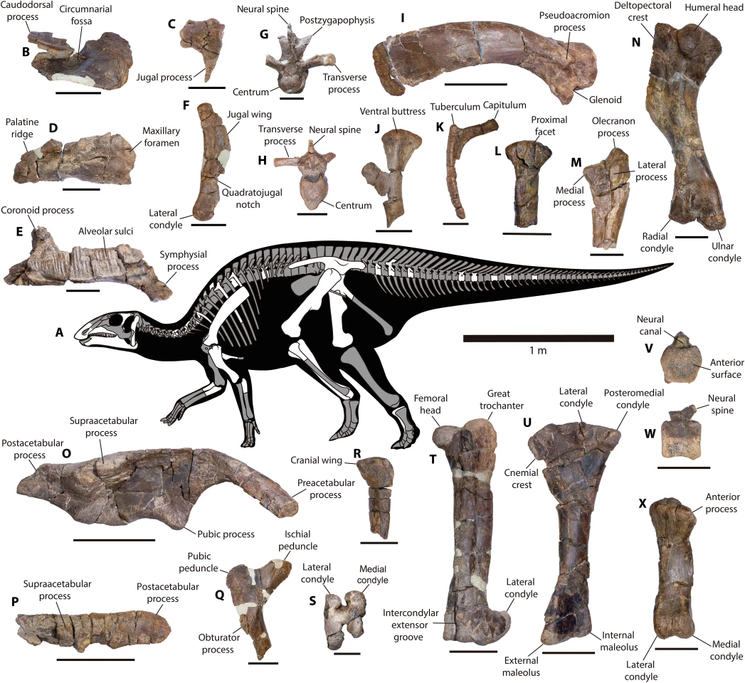 A very old, very complex jigsaw puzzle