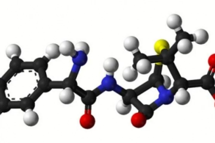 Study recommends initial treatment with oral amoxicillin Image Credit: wikipedia.org