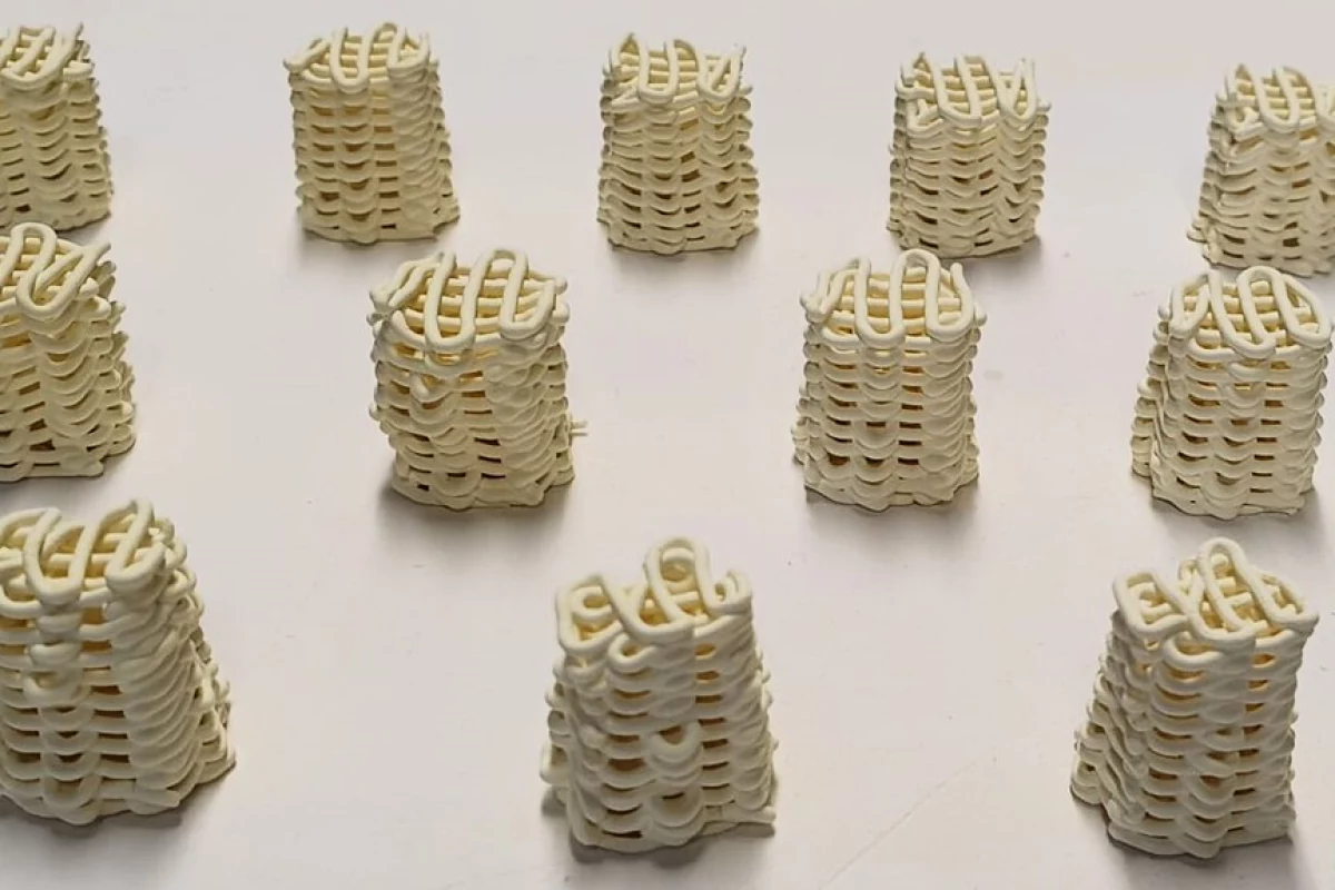 Samples of the team's "ceramic monoliths" that can clear toxic "forever chemicals" out of water