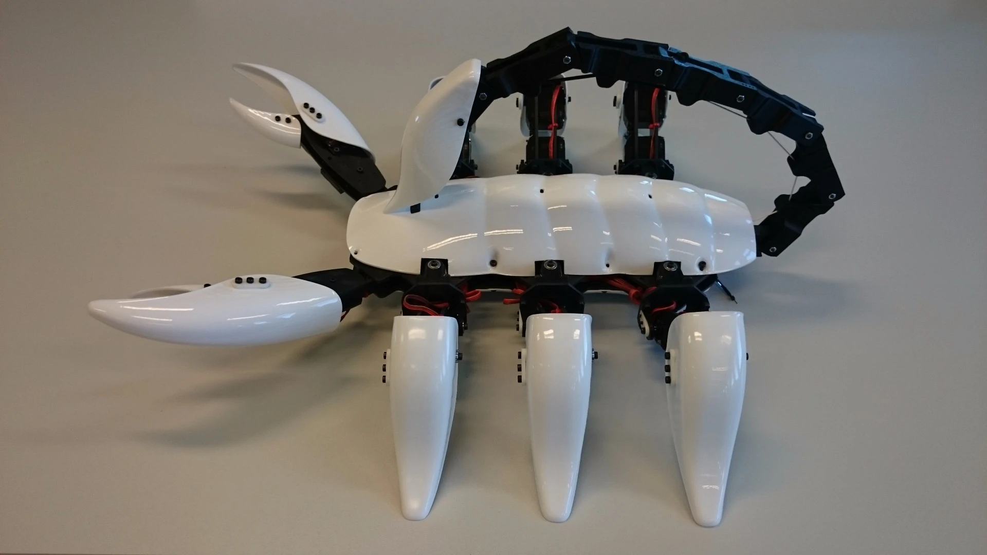 The robot has been programmed with numerous moves and some auto responses to interactions