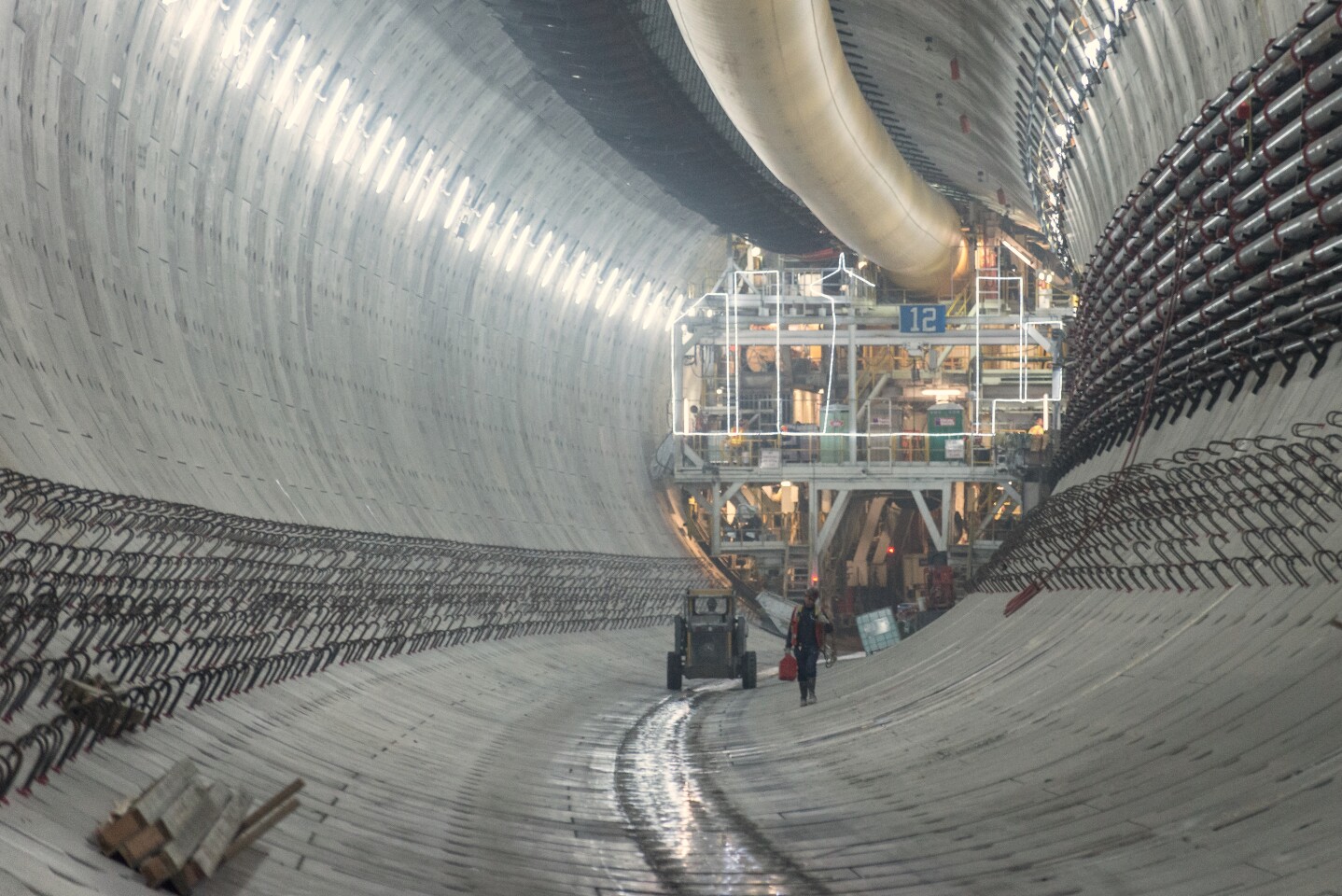 Bertha from behind