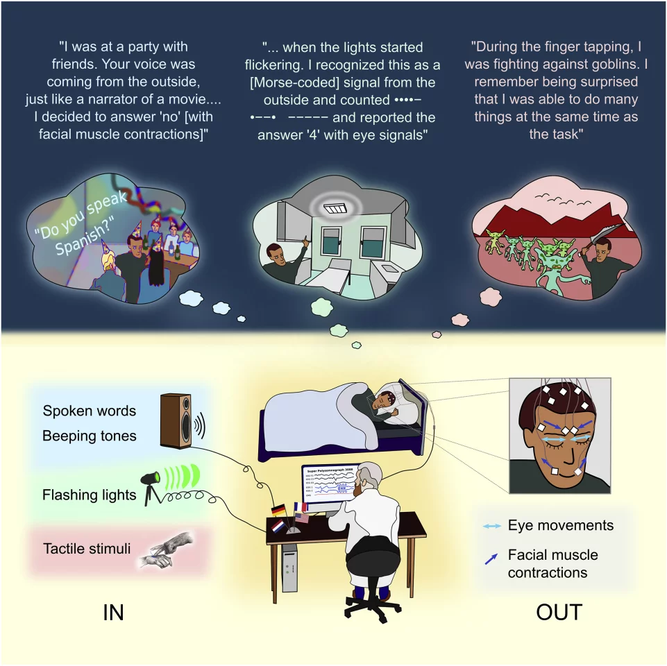 Patients were asked to report on their dream experiences afterwards, and how the external stimuli came through