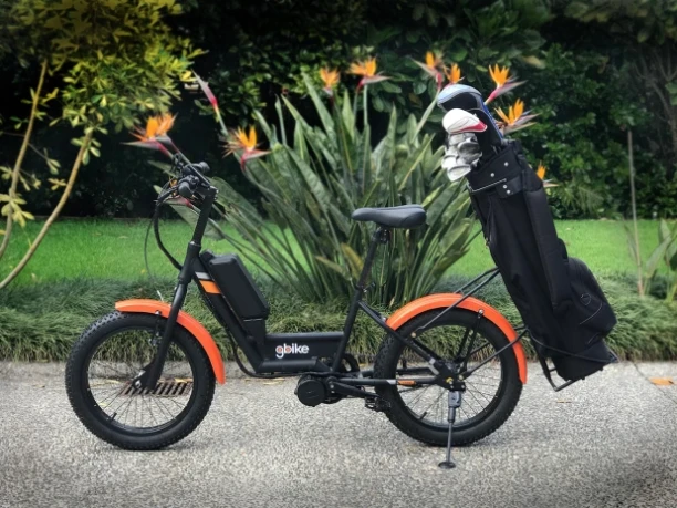Simply called the Golfer, the e-bike is made by New Zealand-based company gbike