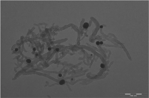 The snail-inspired approach promises to better connect lithium manganese nickel oxide material with carbon nanotubes (Image: Evgenia Barannikova/UMBC)