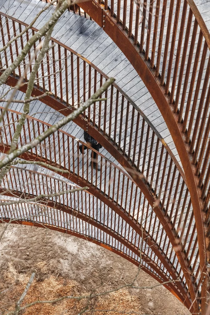 The Camp Adventure Tower's walkway is made from local wood