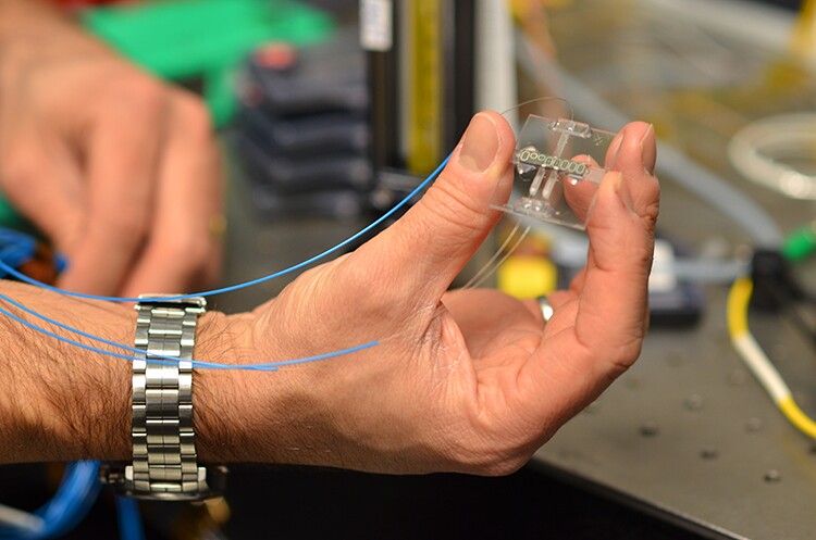 Networks of sensors like this miniature silicon chip trace-gas spectrometer may help us detect environmental pollutants