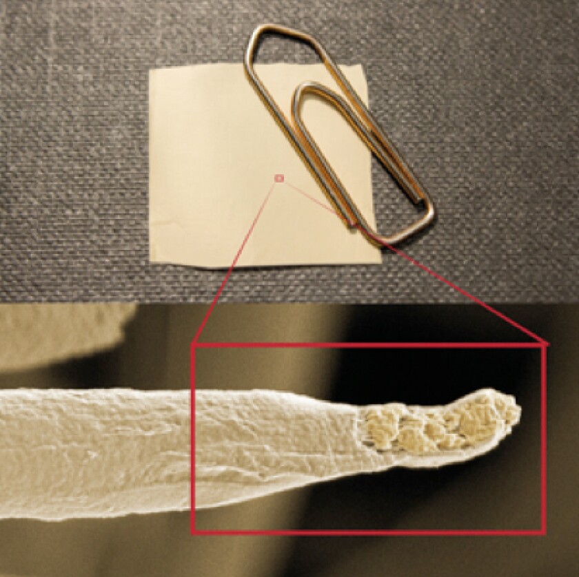 A close look at a swatch of lanosol-containing antibacterial fabric