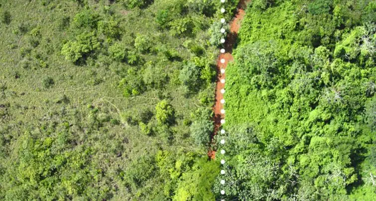 On the right is the lush forest that was loaded with orange peel waste and on the left is the untreated land