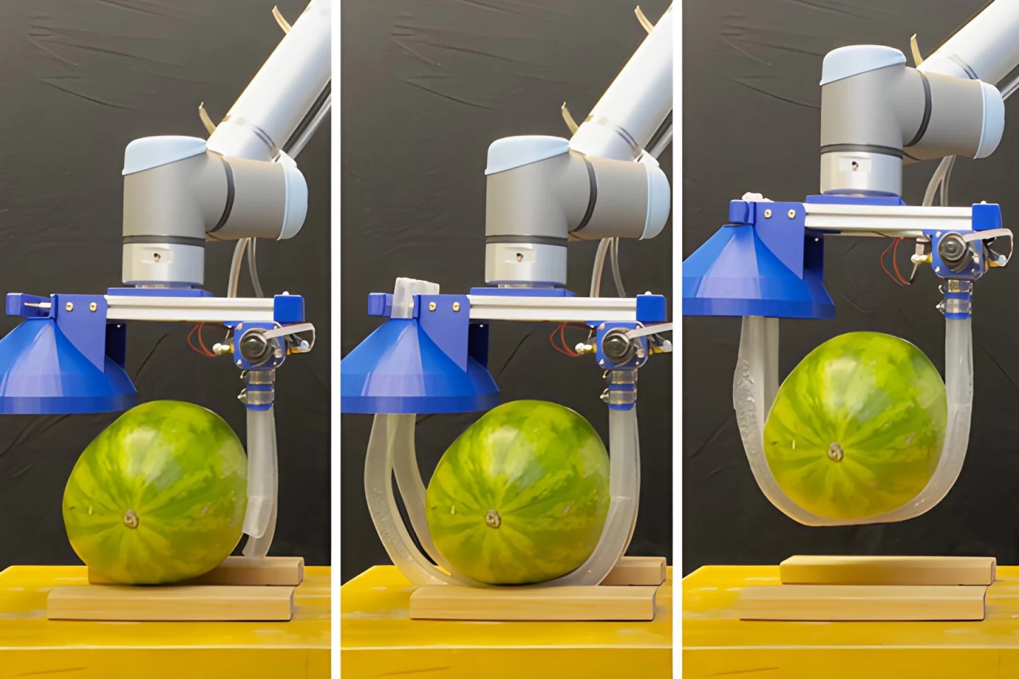 The vine-like robot can handle heavy and oddly shaped objects like watermelons - and human beings