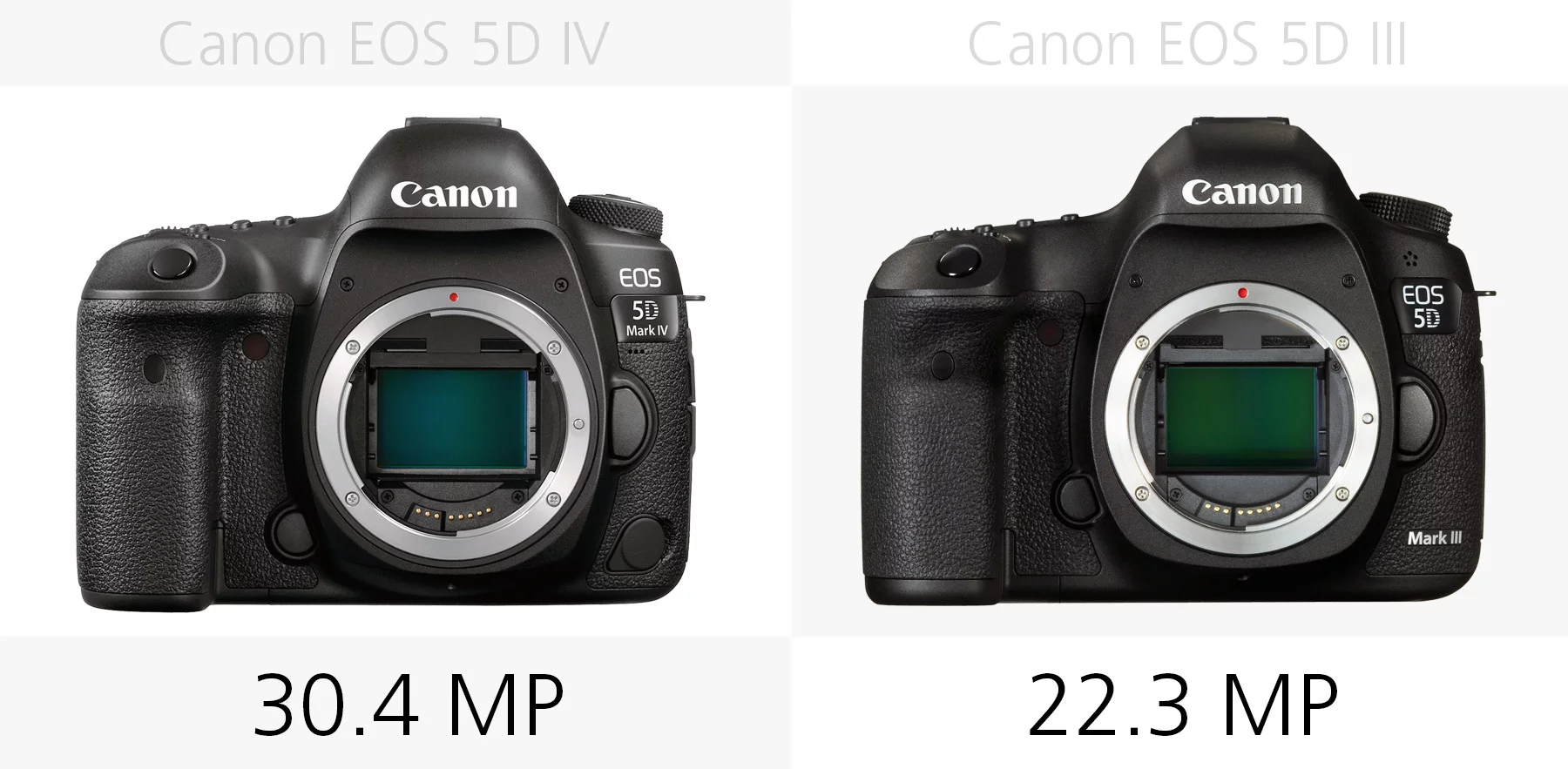 Megapixel count (Canon EOS 5D Mark IV and 5D Mark III)