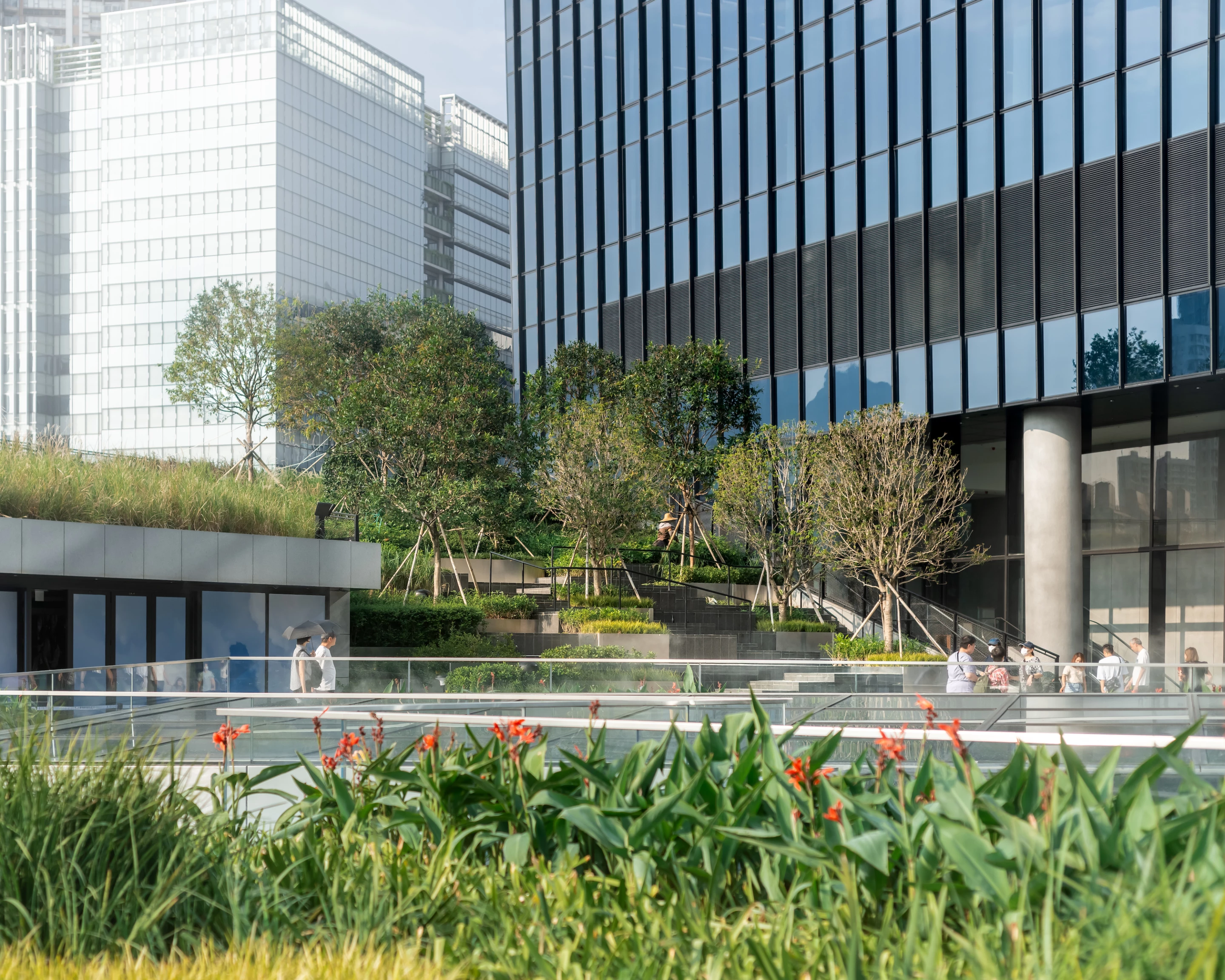 30% of Airside's site is covered in greenery, most of which is made up of local species