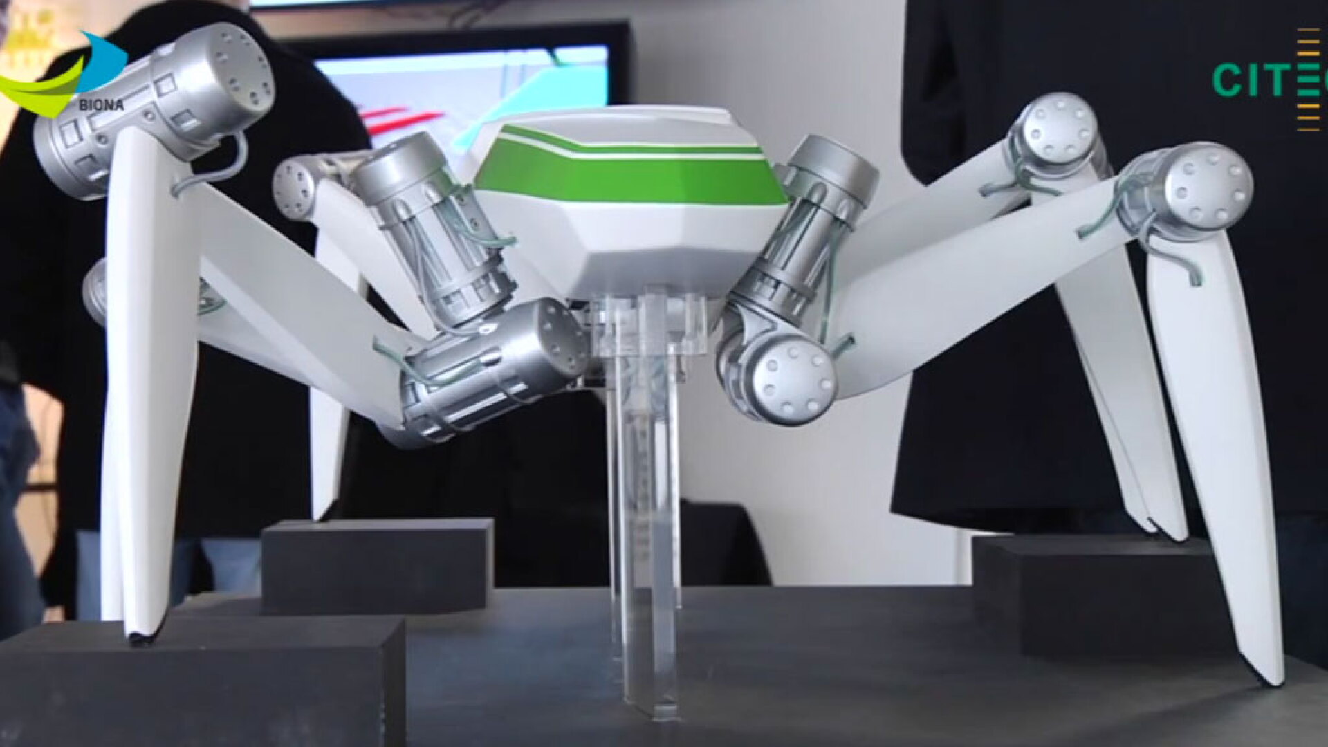 Insect-inspired HECTOR walking robot