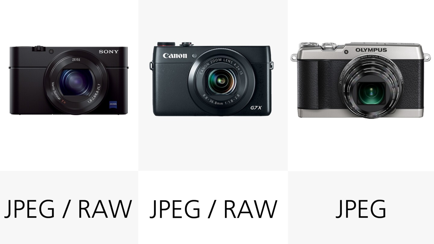 Most of these cameras are able to shoot both JPEG still files and the more post-processing friendly RAW