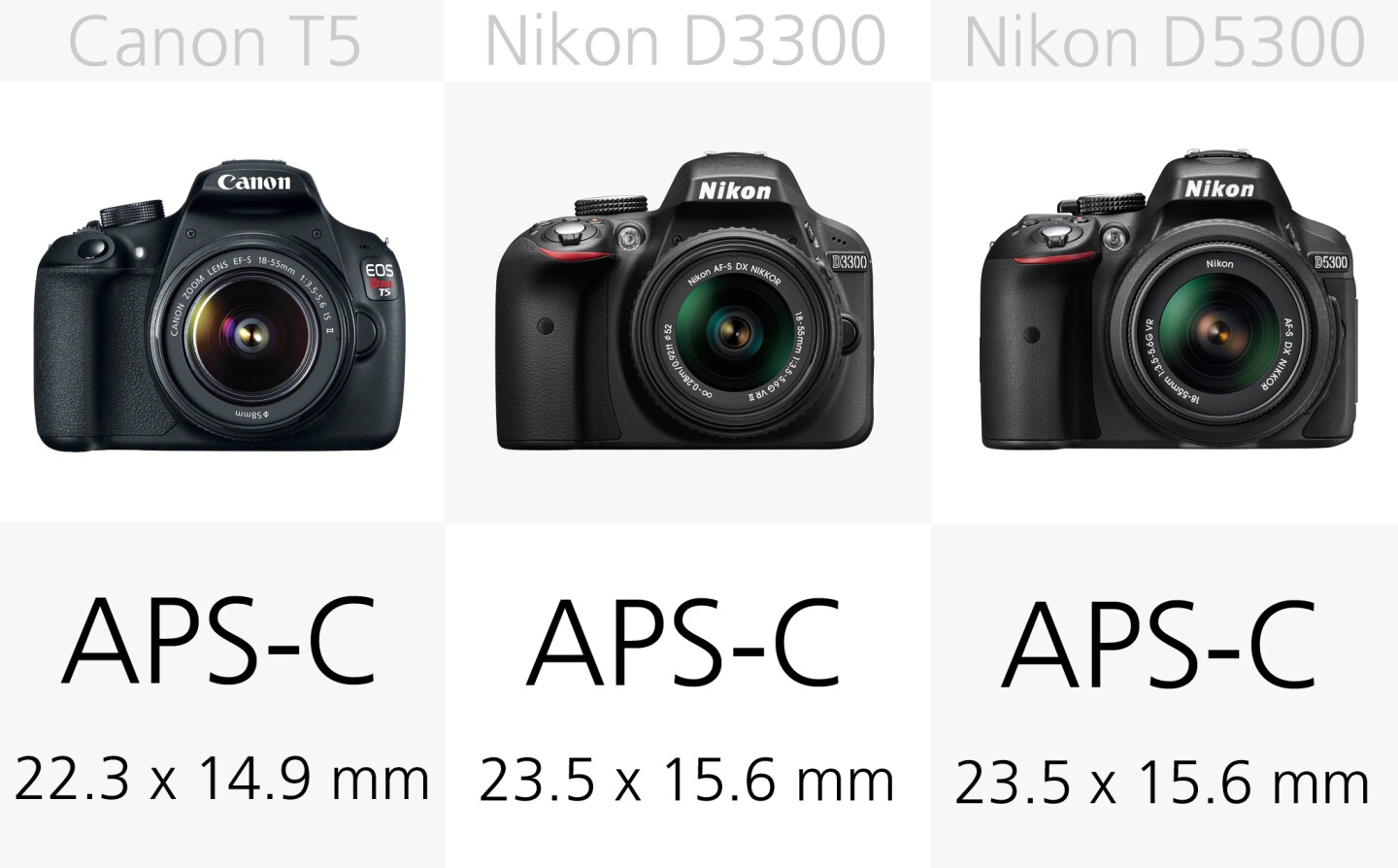 All of these DSLRs use APS-C size sensors