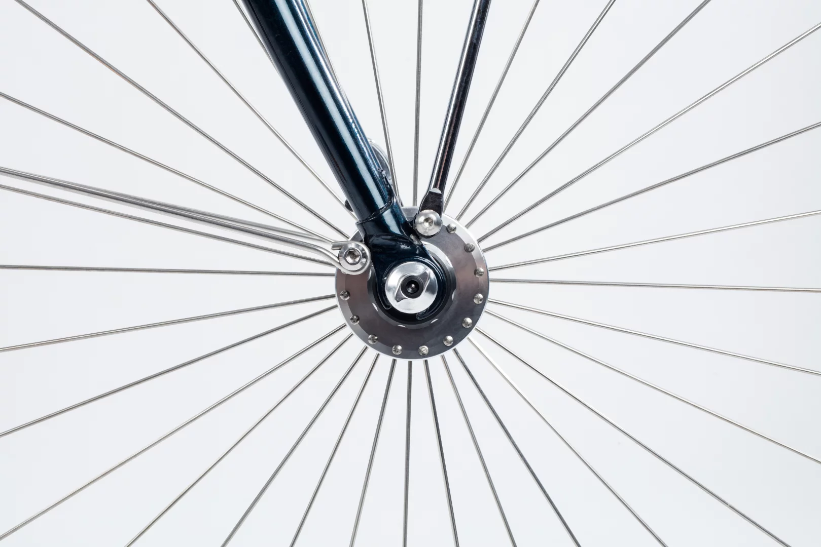 Velocipede Fogliaverde closeup