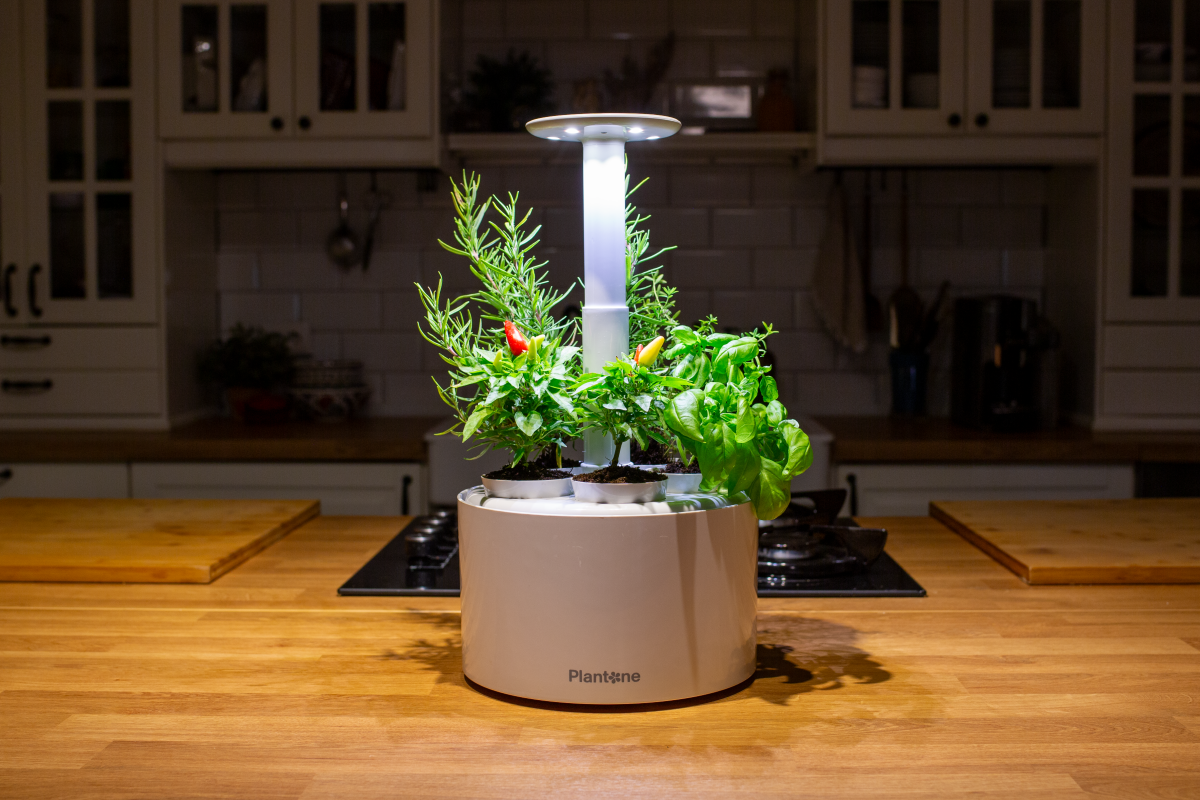 Plantone automates indoor growing of year-round fresh greens, image size:1200x800
