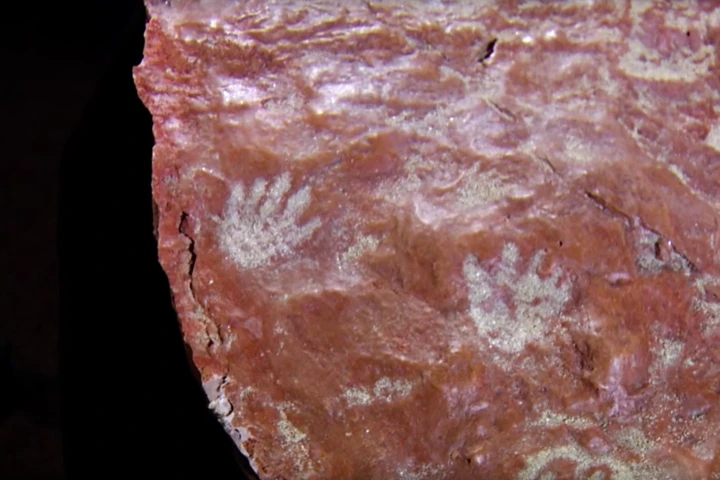 A sandstone slab found on the grounds of NASA's Goddard Space Flight Center contains fossilized footprints from both dinosaurs and mammals from about 100 million years ago