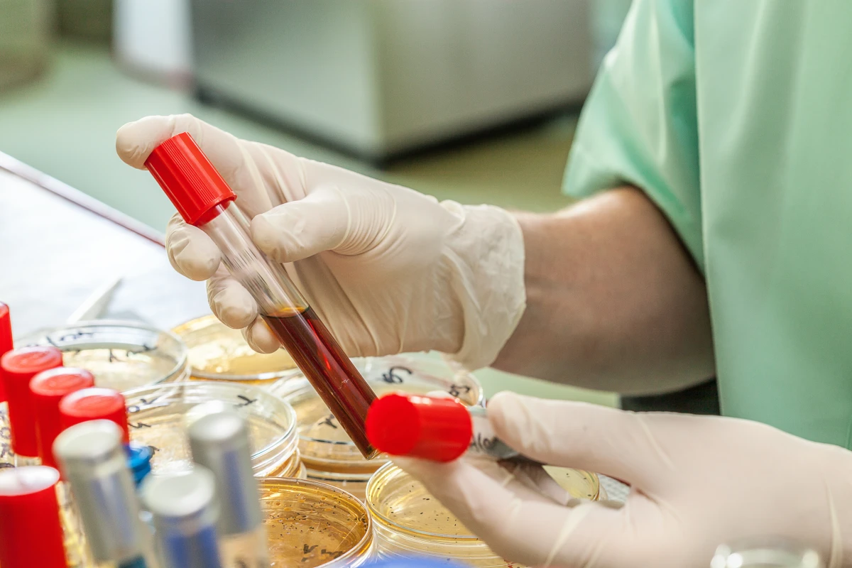 Malaria may be a deadly disease but it may also unlock the key to a universal cancer blood test