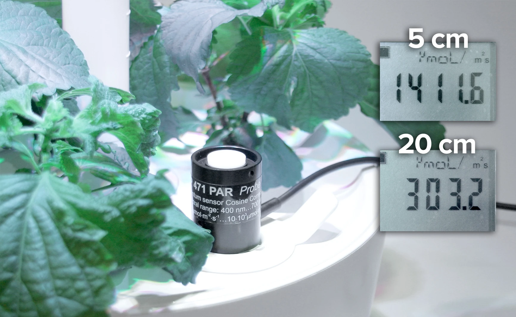 While the device can automatically adjust water and light according to the plant's growth, it allows the user to manipulate these settings to shape the final product