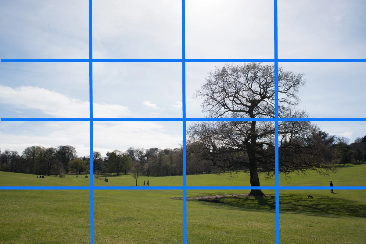 Getting out of Auto: Understanding the metering modes on your camera
