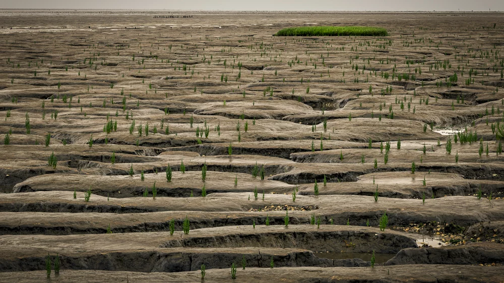 Winner of 3rd place in the Amateur Nature category: Kai Beuckmann - Tideland
