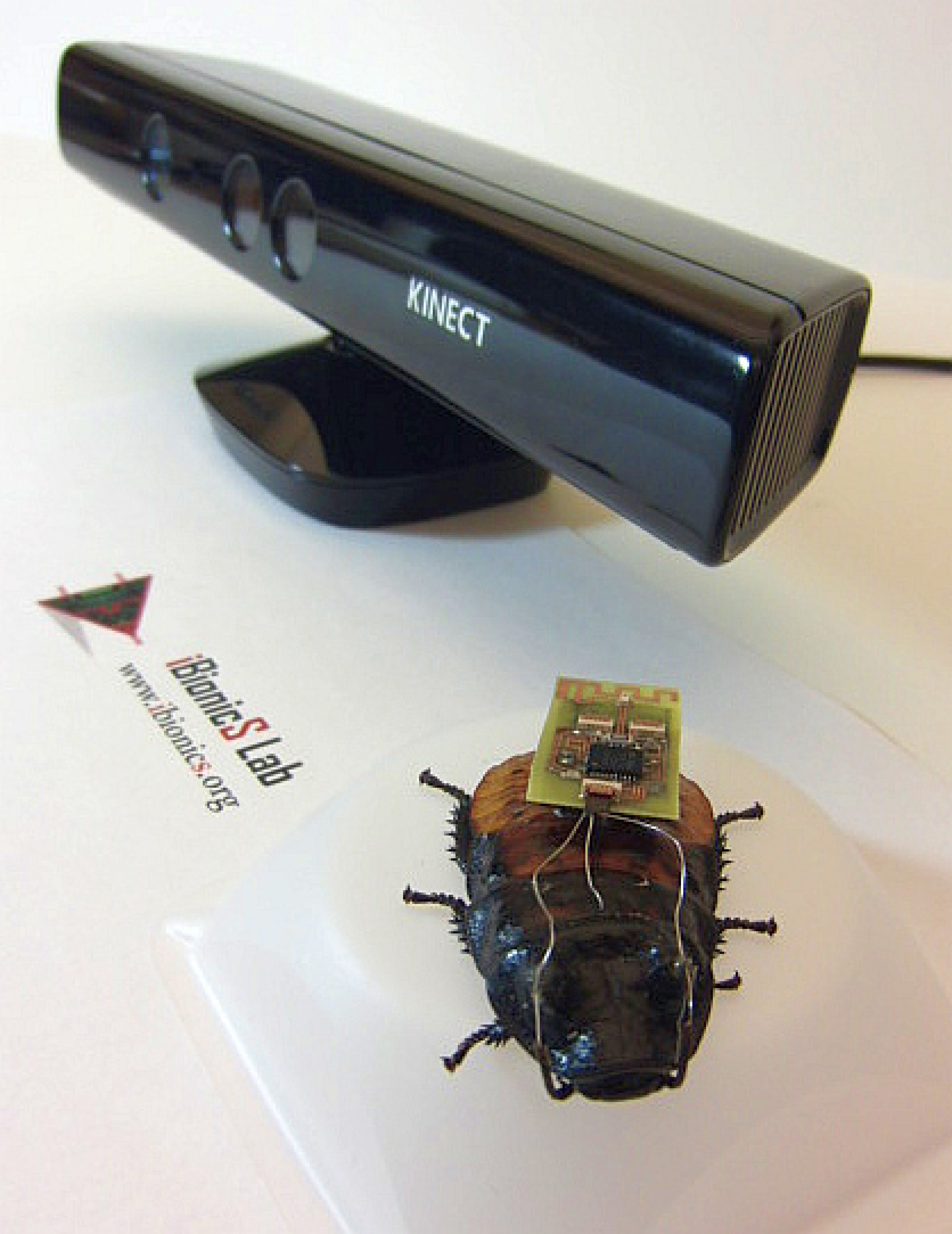 Xbox Kinect used to steer cockroach biobots