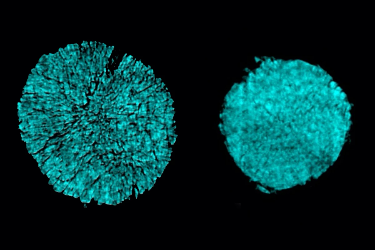 X-ray tomography images of an electrode in a conventional battery cell (left) and one in the newly designed cell featuring a novel electrolyte, where cracking is prevented
