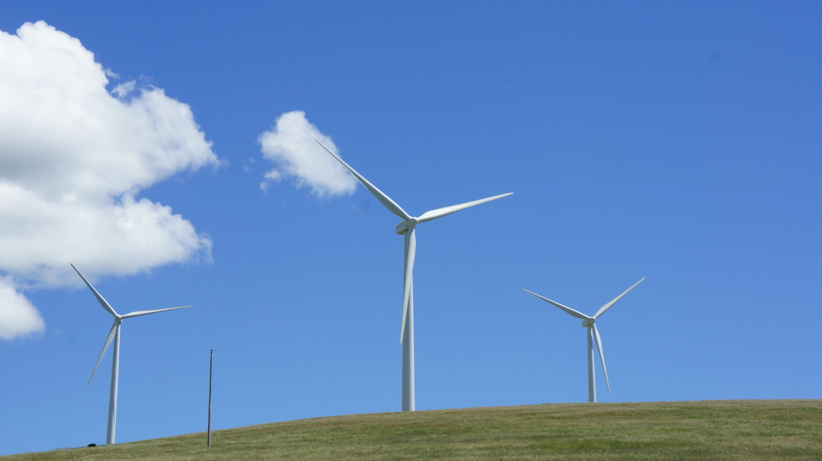 Chinese researchers have developed a biologically inspired control system for wind turbines (Photo: Gizmag)