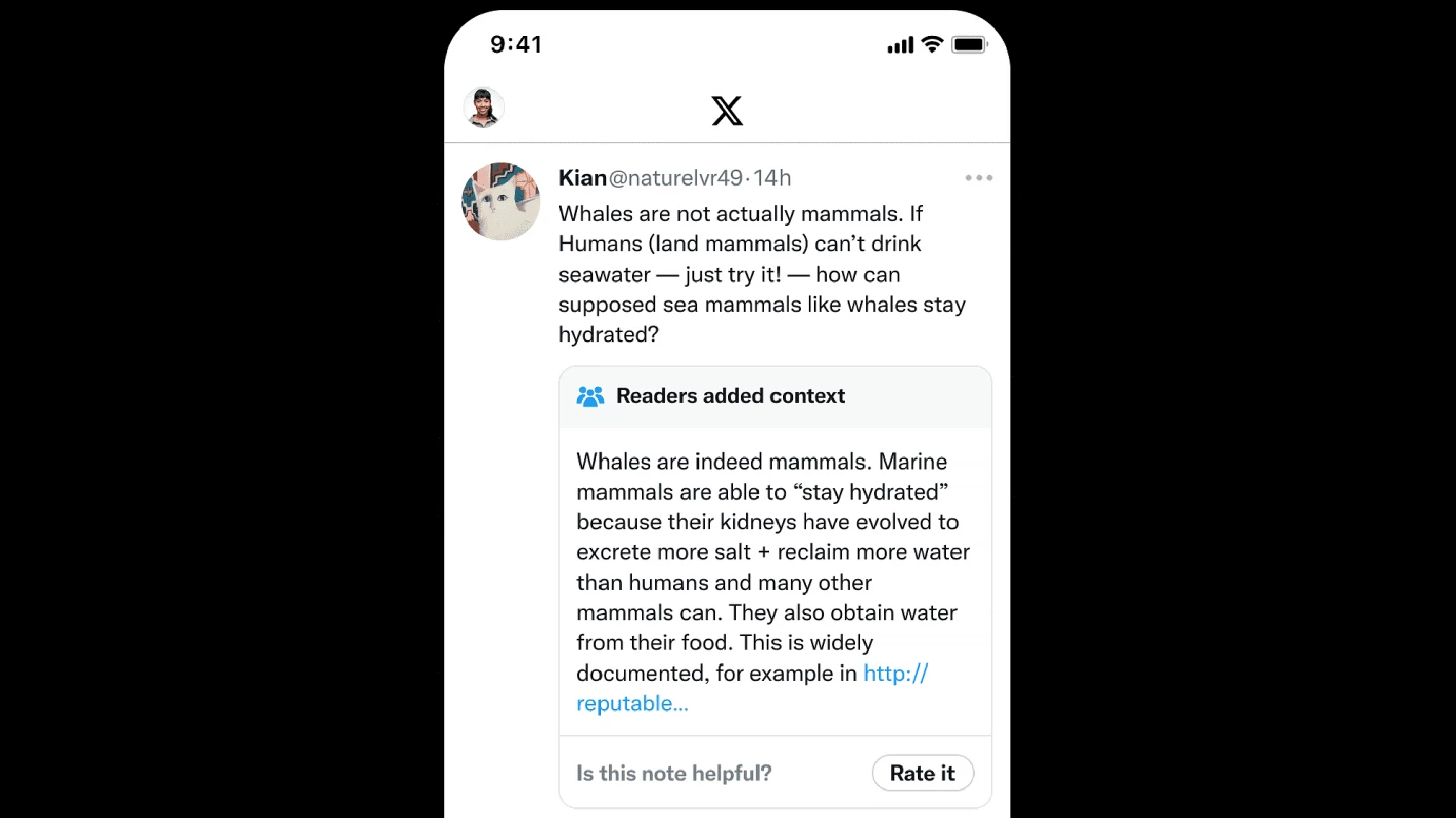 An example of X's Community Notes function