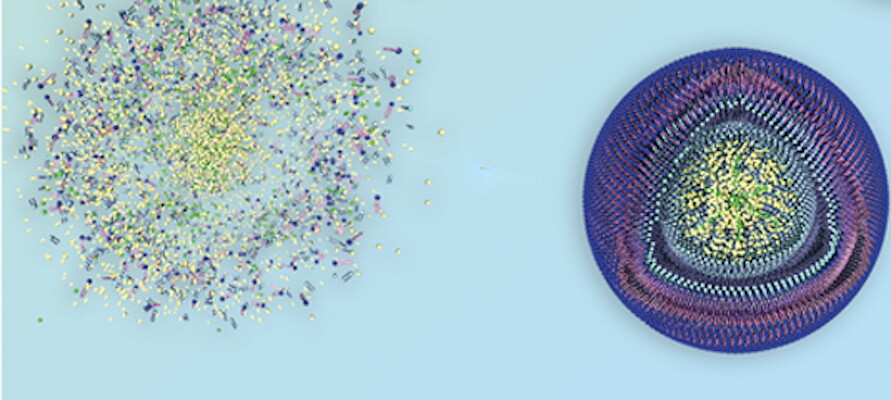 The nanoparticles dissolve efficiently only in cancer cells, delivering drugs while leaving healthy cells unharmed
