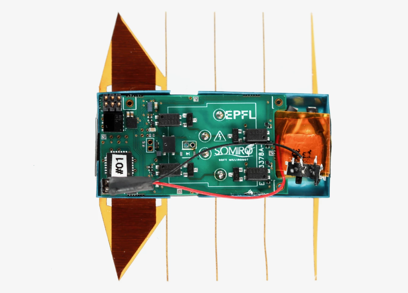 A top view of the robot, with its clear fin membranes invisible against the white background