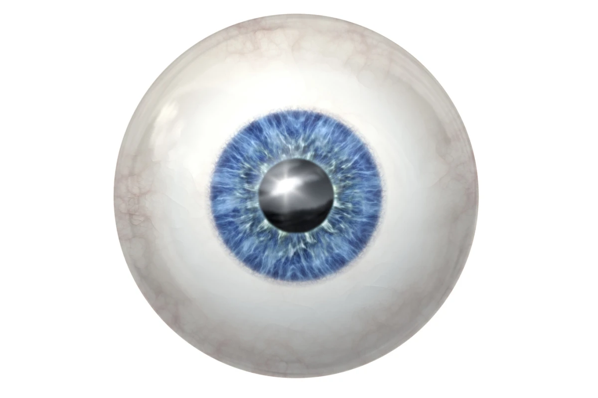 Physicians at the University of Wisconsin-Madison have succeeded in growing human retinal tissue from stem cells (Image: Shutterstock)