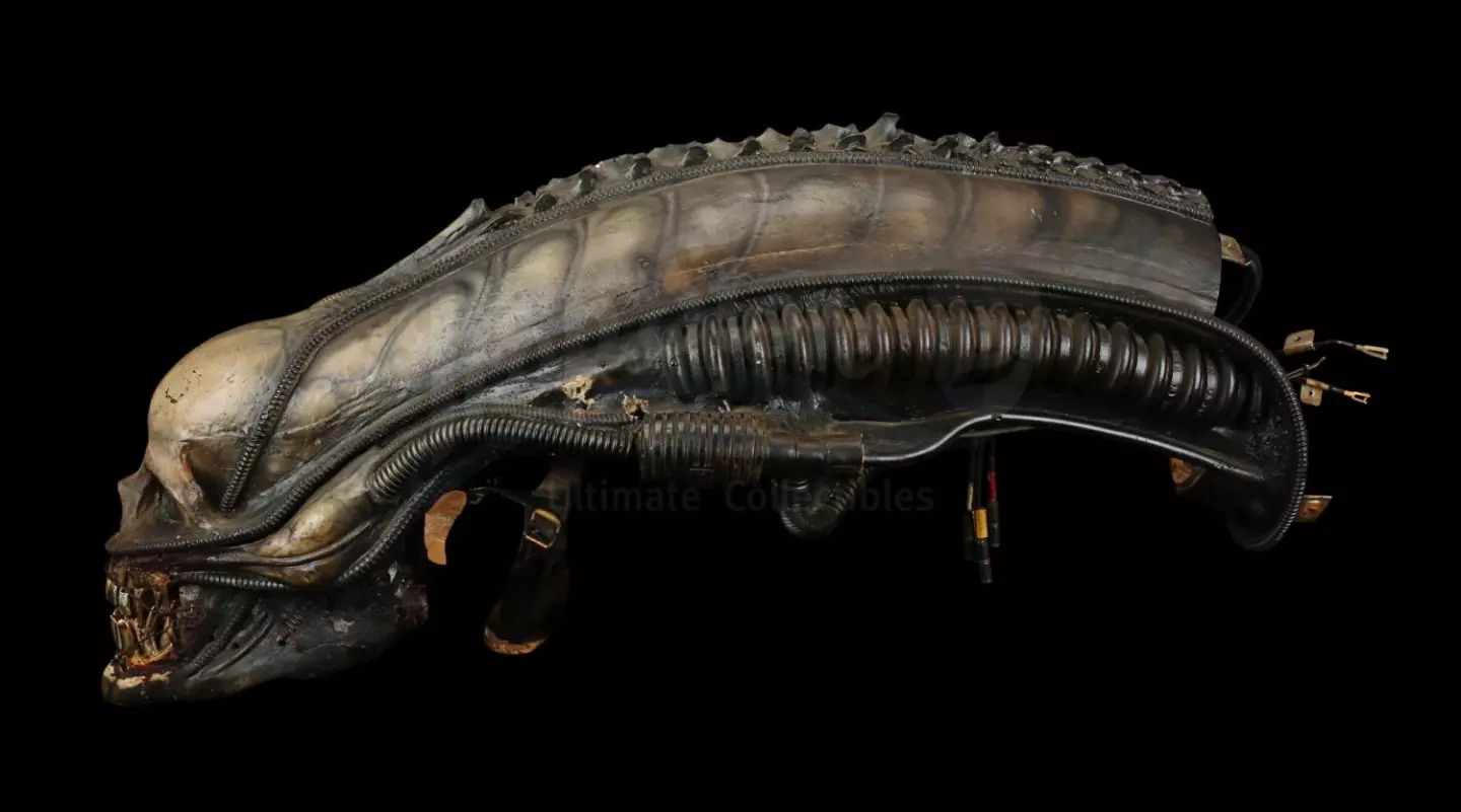 This is a Special Effects Mechanical Alien Head, designed by biomechanical artist H.R. Giger for the movie "Alien" (1979). It sold for $104,271 at Propstore in London on December 2, 2020