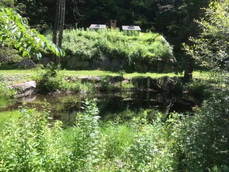 With its low profile and green roof, Hobbit Hollow blends into the landscape very well