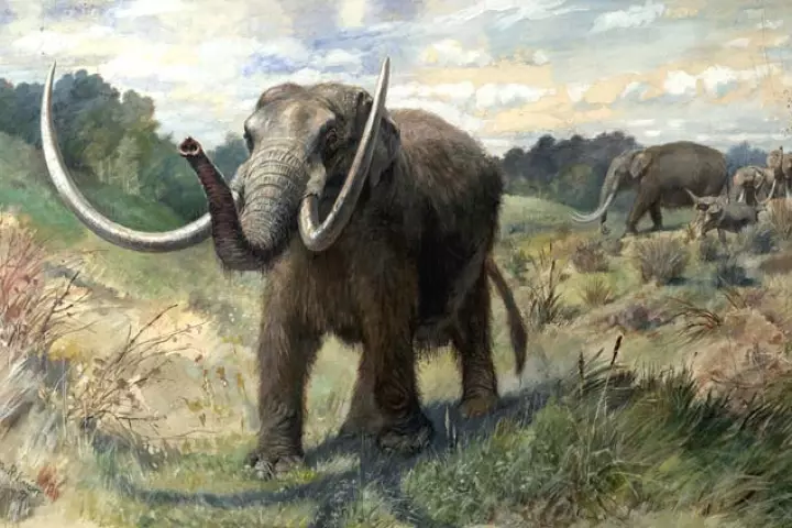 Artist depiction of an American mastodon