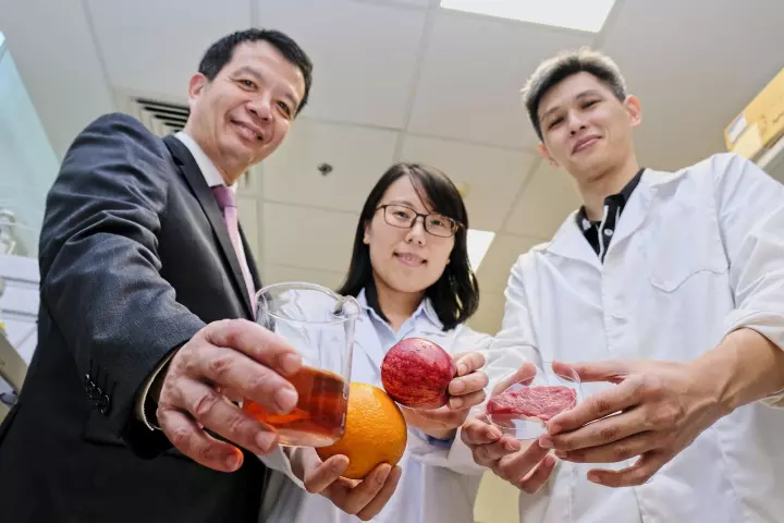The preservative has been successfully tested on fruit juice and meat samples