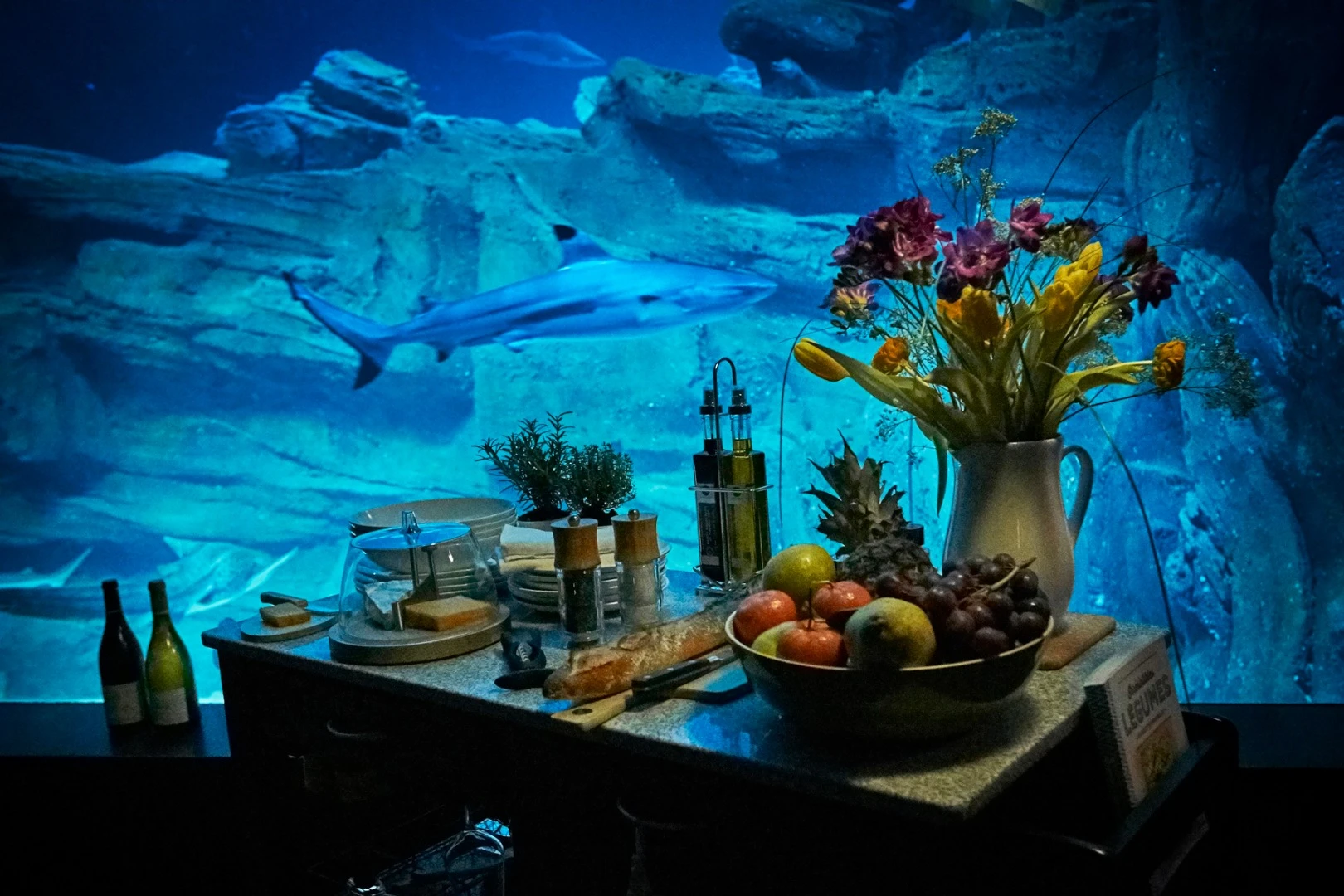 The underwater bedroom was designed specifically for the aquarium